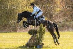 Arcardia 4 Martina REEMTSMA