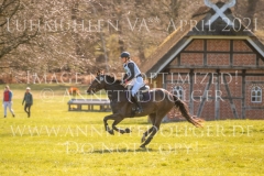 Aurelia II Caroline STEINERT