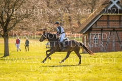 Aurelia II Caroline STEINERT