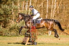 Aurelia II Caroline STEINERT