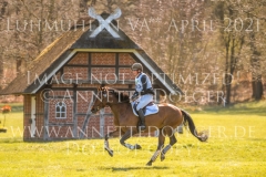 Caldera Z Kurd Moritz von ZIEGNER