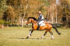 Caldera Z Kurd Moritz von ZIEGNER