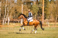 Caldera Z Kurd Moritz von ZIEGNER