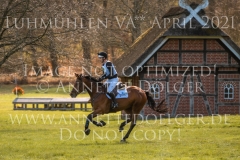 Draulik H Niklas HORST