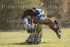 Draulik H Niklas HORST