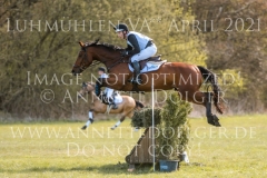 Draulik H Niklas HORST