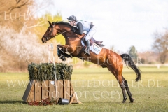 Draulik H Niklas HORST