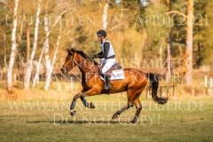 Draulik H Niklas HORST