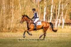 Draulik H Niklas HORST