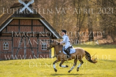 Caribian Dance Stella Maria REHM