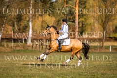 Caribian Dance Stella Maria REHM