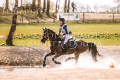 Hannibal's Revenge Franziska ARP