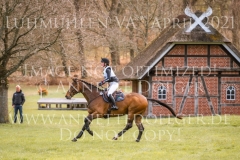 Little Chico 2 Neele HINRICHSEN