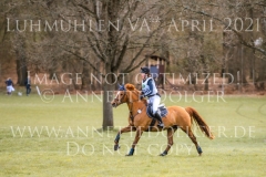 Manhattan in Gold Justina Charlotte HAYESSEN