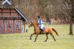 Manhattan in Gold Justina Charlotte HAYESSEN