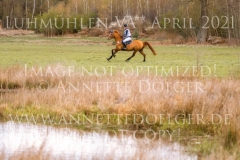 Manhattan in Gold Justina Charlotte HAYESSEN