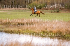 Manhattan in Gold Justina Charlotte HAYESSEN