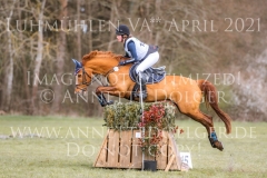 Manhattan in Gold Justina Charlotte HAYESSEN