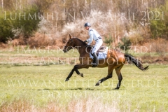 Bob 61 Isabella von ROEDER