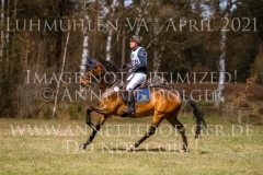 Rockett 19 Claas Hermann ROMEIKE