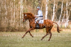 Lucid Lane 2 Peer Christian AHNERT