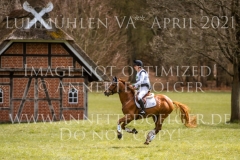 Dynamite Nobel Tom MEIER