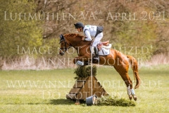 Dynamite Nobel Tom MEIER