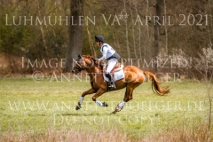 Dynamite Nobel Tom MEIER