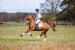 Dynamite Nobel Tom MEIER