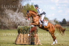 Dynamite Nobel Tom MEIER