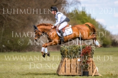 Dynamite Nobel Tom MEIER