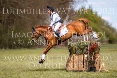 Dynamite Nobel Tom MEIER