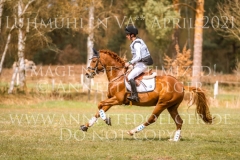 Dynamite Nobel Tom MEIER