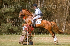 Dynamite Nobel Tom MEIER