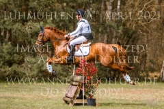 Dynamite Nobel Tom MEIER