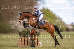 Volturi 3 Maicke BLEUZE