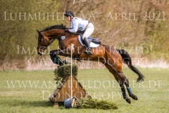 Dubi Du Gunda HAMANN