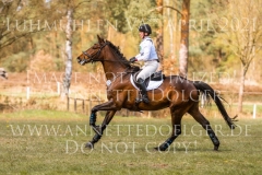 Dubi Du Gunda HAMANN