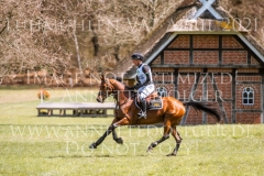 Ossia RH AA Csaba SARKOEZI