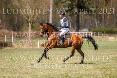 Ossia RH AA Csaba SARKOEZI