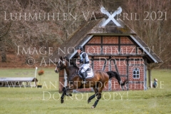 Lumiere d'or Imre TOTH