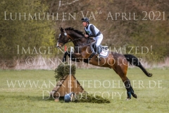 Lumiere d'or Imre TOTH