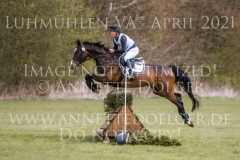 Lumiere d'or Imre TOTH