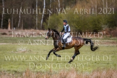 Lumiere d'or Imre TOTH