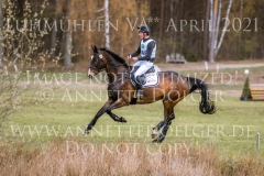 Lumiere d'or Imre TOTH