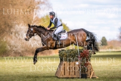 Lumiere d'or Imre TOTH