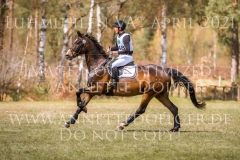 Lumiere d'or Imre TOTH