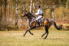 L'Aron des Bois Bernhard REEMTSMA