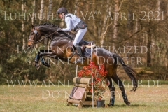 L'Aron des Bois Bernhard REEMTSMA