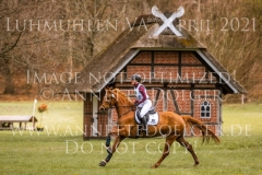 Daylight P 3 Sandra PENNDORF